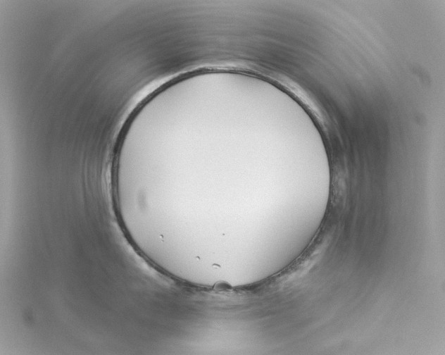 X0000114510959200911161252