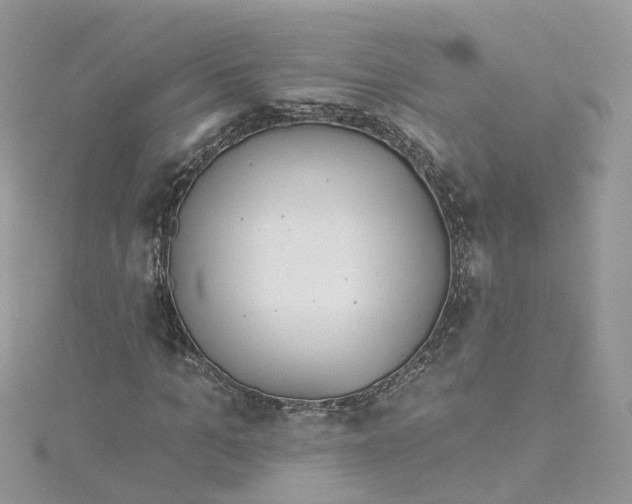 X0000114510965200911161252