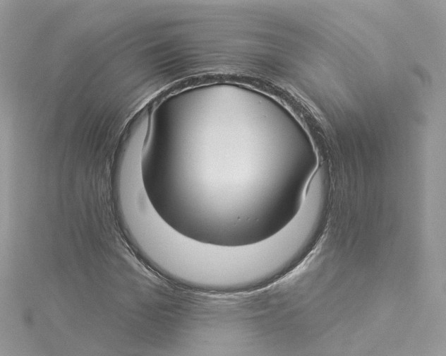 X0000114510969200911161252