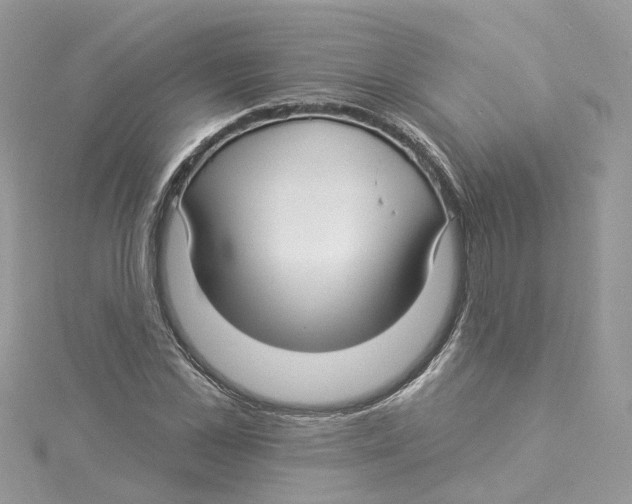 X0000114510973200911161252