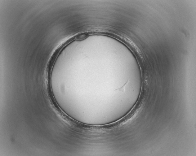 X0000114510981200911161252