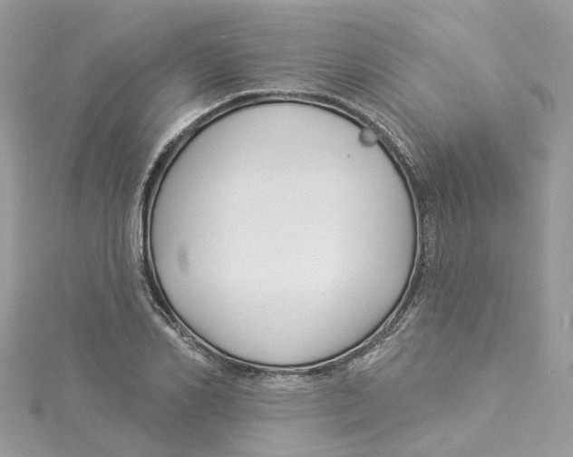 X0000114510982200911161252