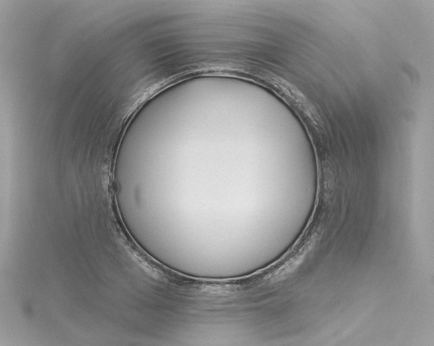 X0000114510985200911161251