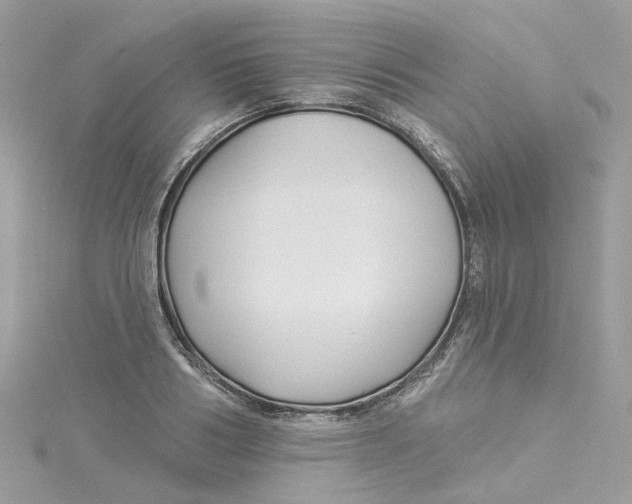 X0000114510986200911161251