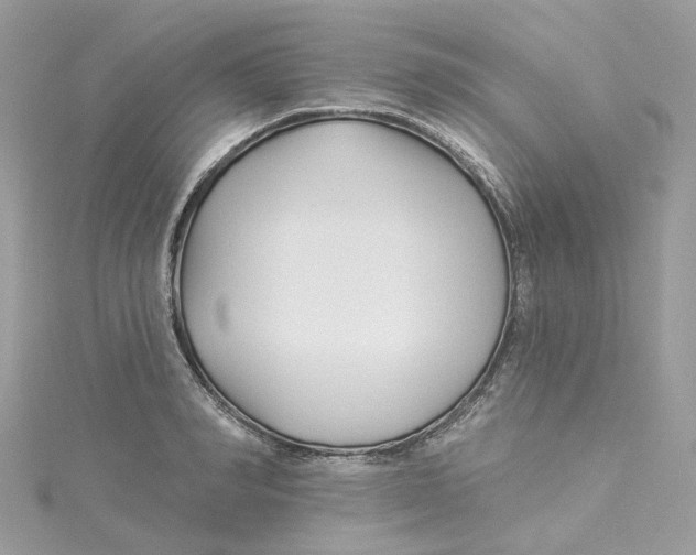 X0000114510990200911161251