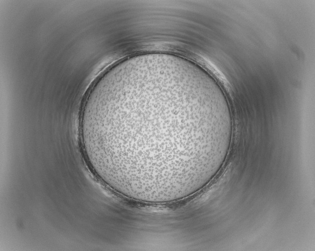 X0000114510994200911161251