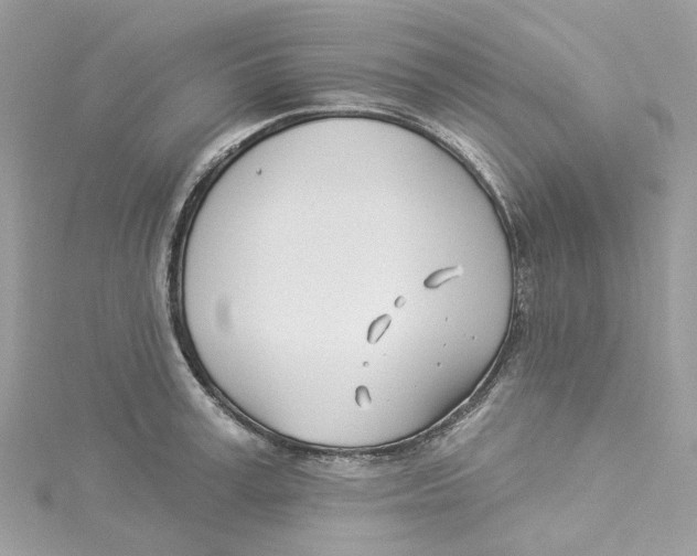 X0000114510995200911161251