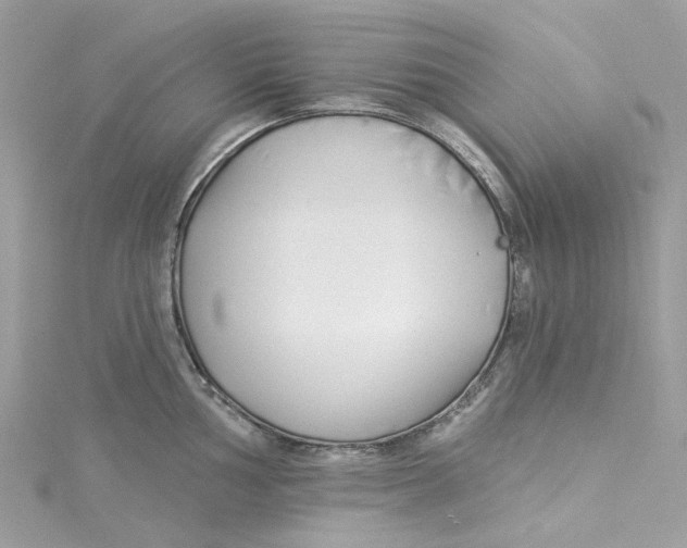 X0000114511002200911161251