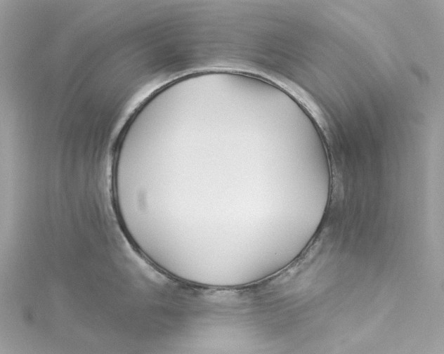 X0000114511006200911161251