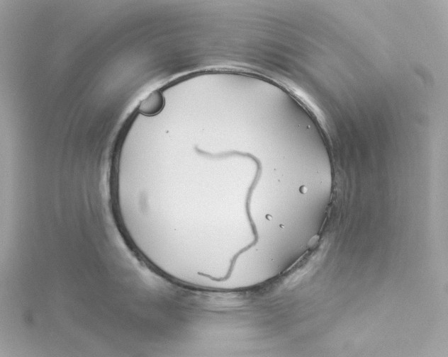 X0000114511007200911161251