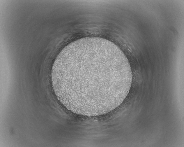 X0000114511009200911161250