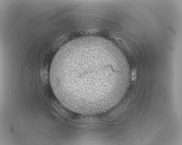 X0000114511011200911161250