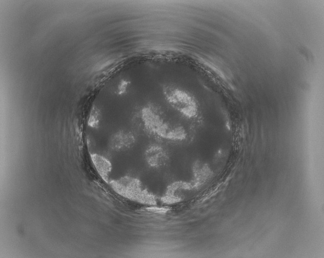 X0000114511013200911161250