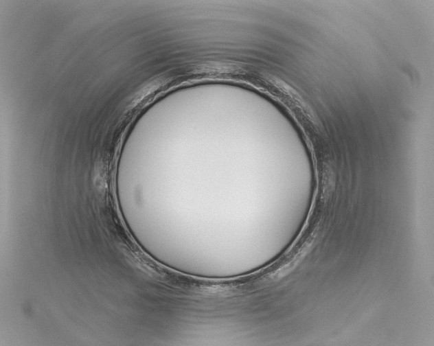 X0000114511017200911161251