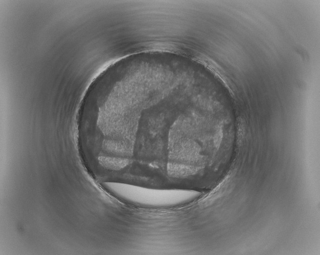 X0000114511024200911161251