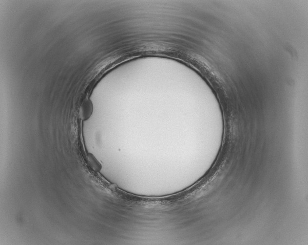 X0000114511025200911161251