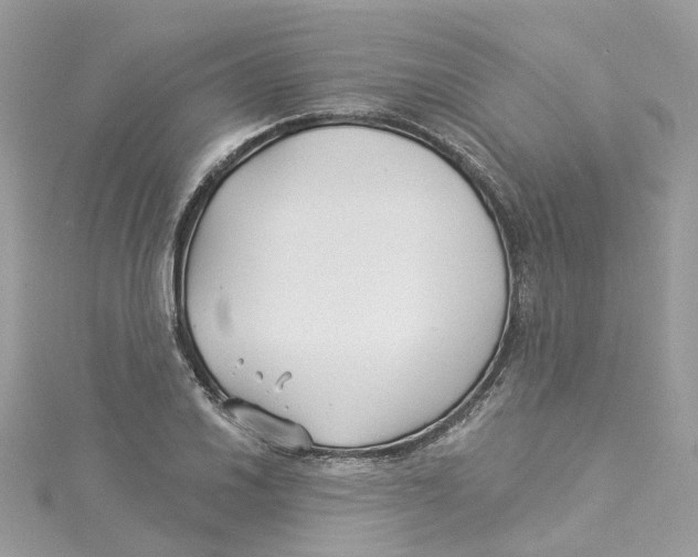 X0000114511030200911161251