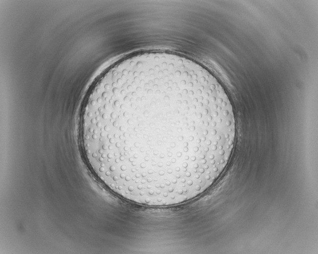 X0000114511044200911161251