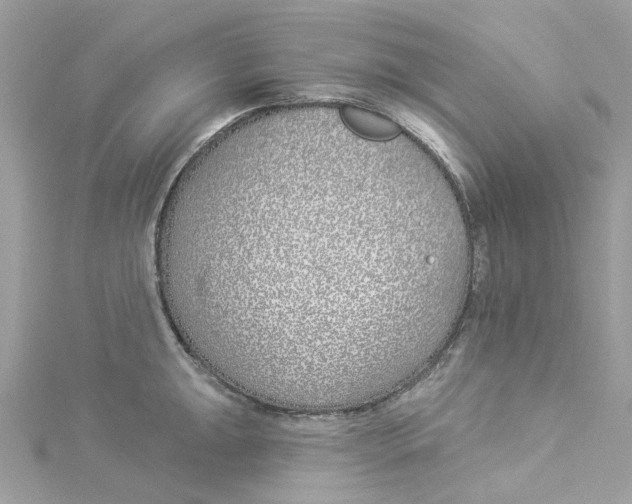 X0000114511047200911161251