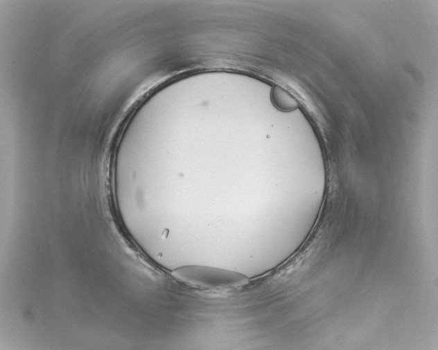 X0000114511048200911161251