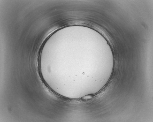 X0000114511050200911161251