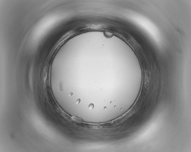 X0000114511052200911161251