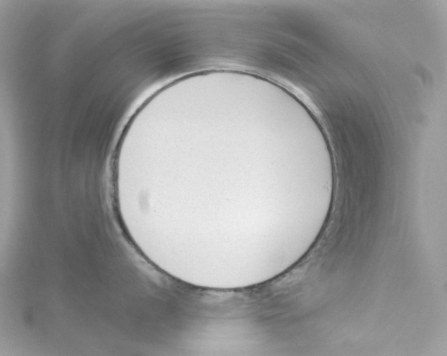 X0000114511056200911161251