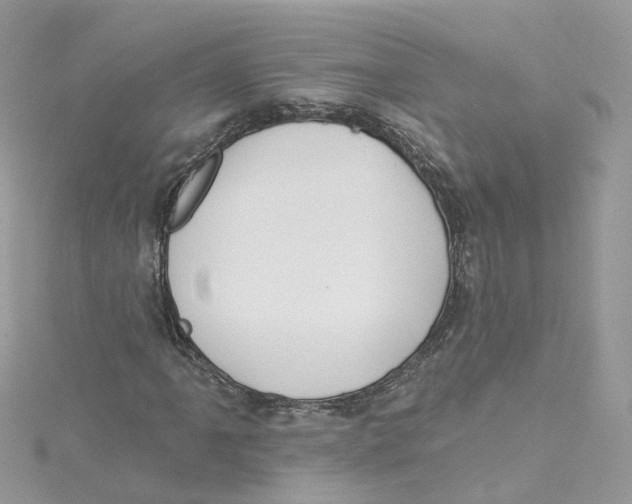 X0000114511061200911161250