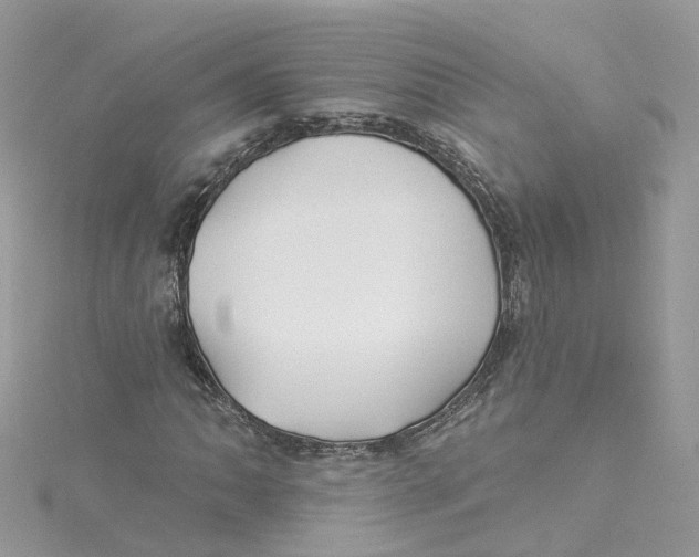 X0000114511062200911161250