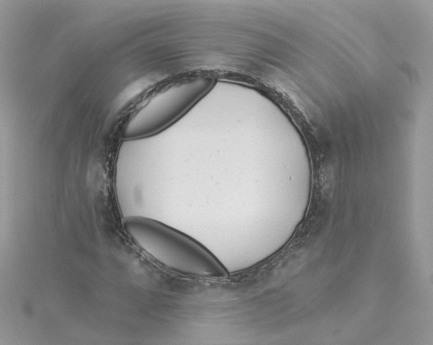 X0000114511064200911161250