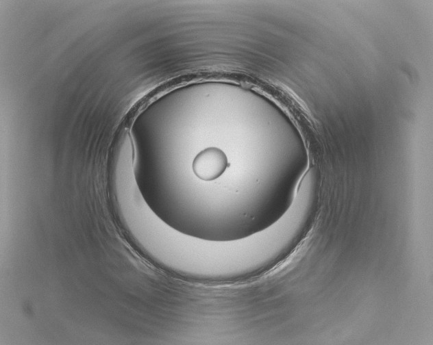 X0000114511065200911161250