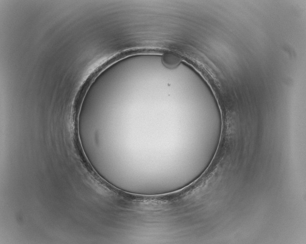 X0000114511077200911161250