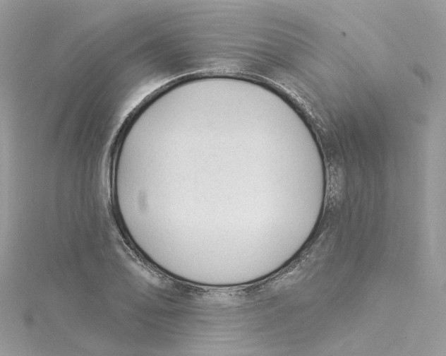 X0000114511078200911161250