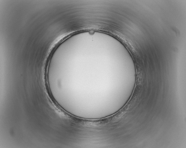 X0000114511086200911161250