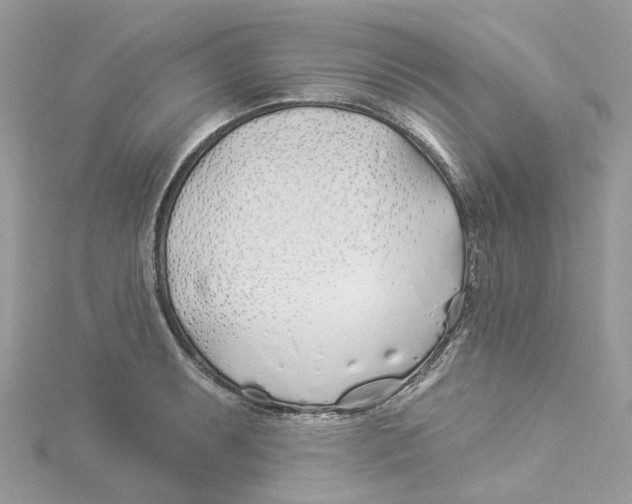 X0000114511087200911161250