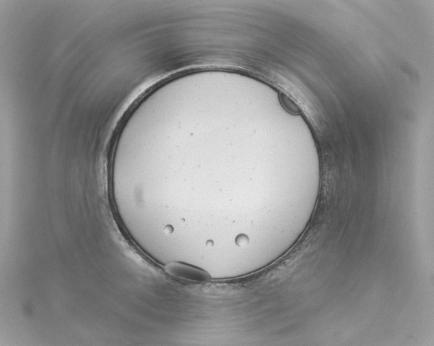 X0000114511092200911161250