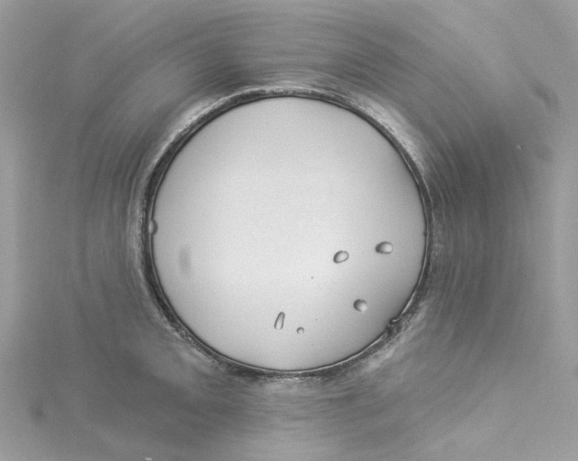 X0000114511093200911161250