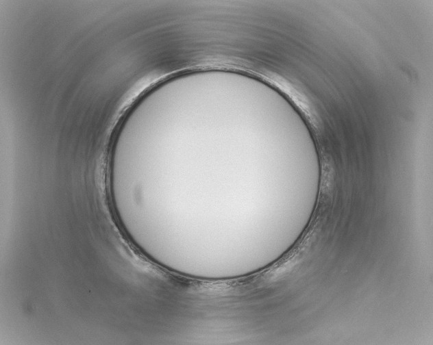 X0000114511094200911161250