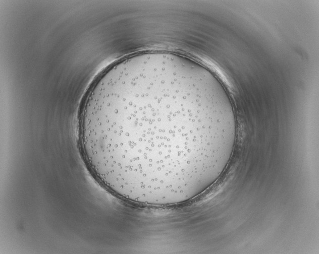 X0000114511095200911161250