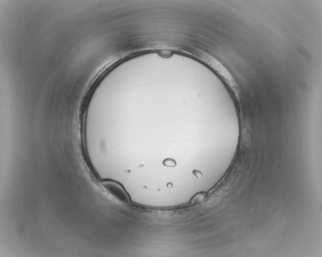 X0000114511096200911161250