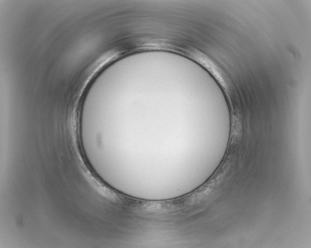 X0000114511098200911161250