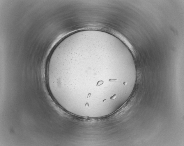 X0000114511099200911161250