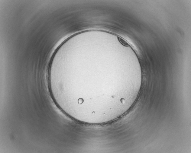 X0000114511100200911161250