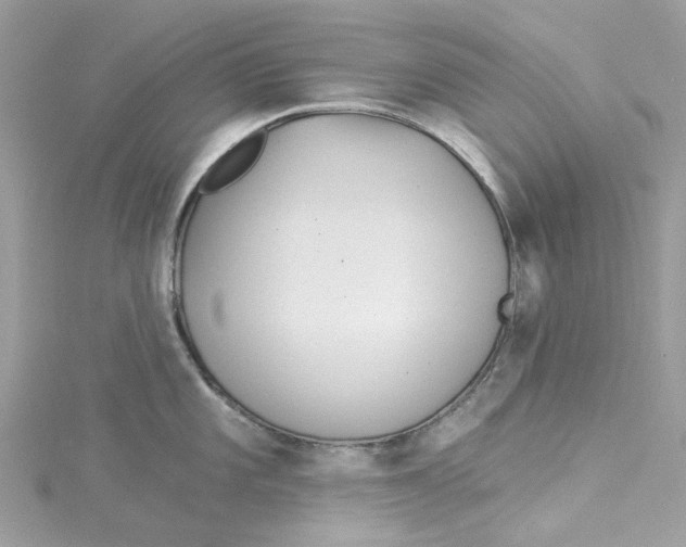 X0000114511101200911161250