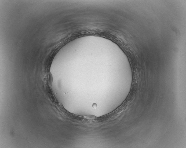 X0000114511109200911161249