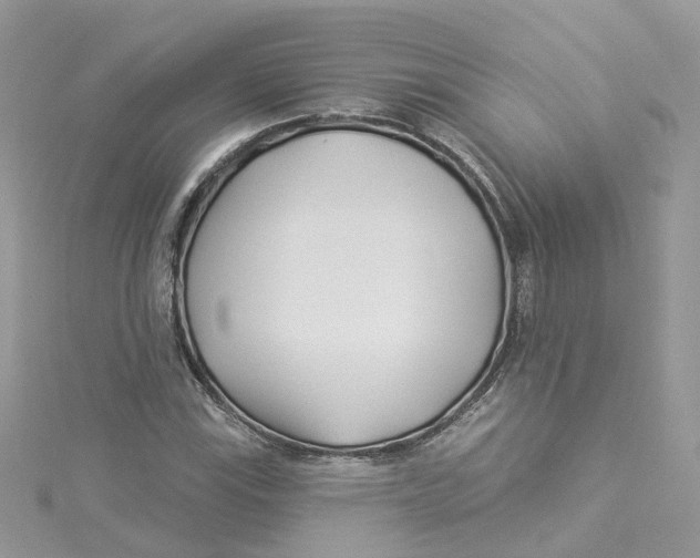 X0000114511115200911161249