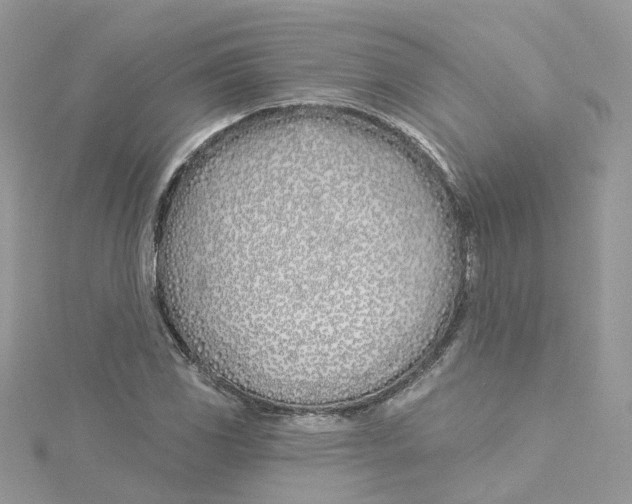 X0000114511117200911161249