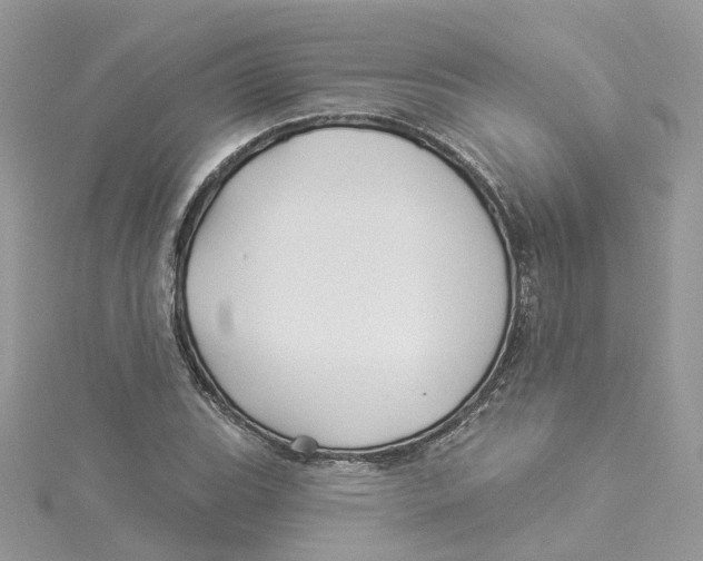 X0000114511119200911161249