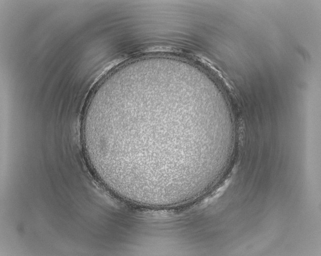 X0000114511121200911161249