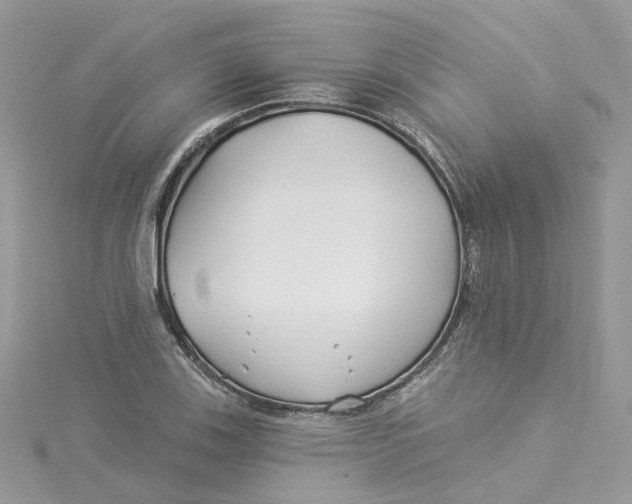 X0000114511123200911161249